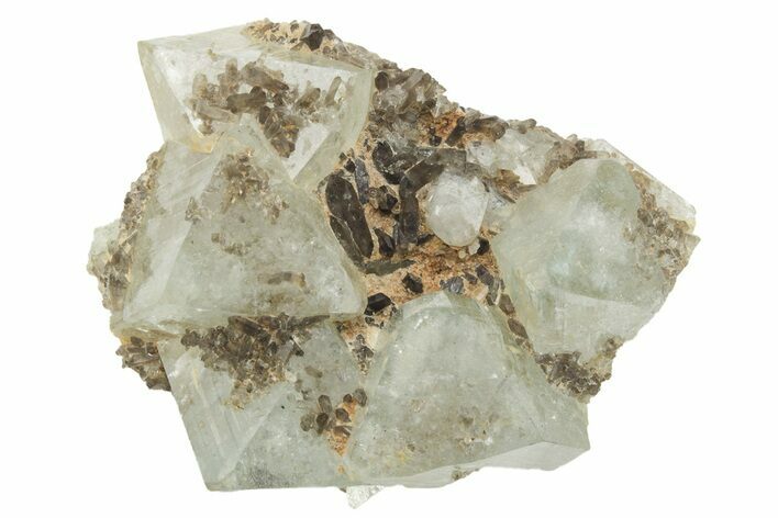 Gemmy, Blue Topaz Crystal Cluster - Sherlova Gora, Siberia #227226